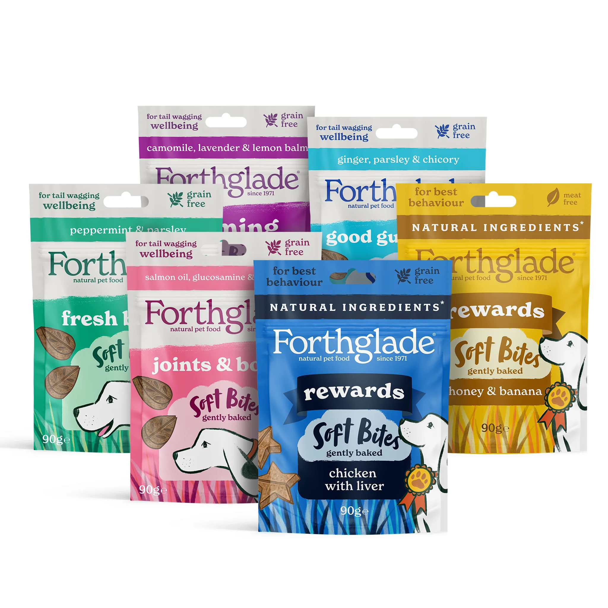 Natural Dog Food